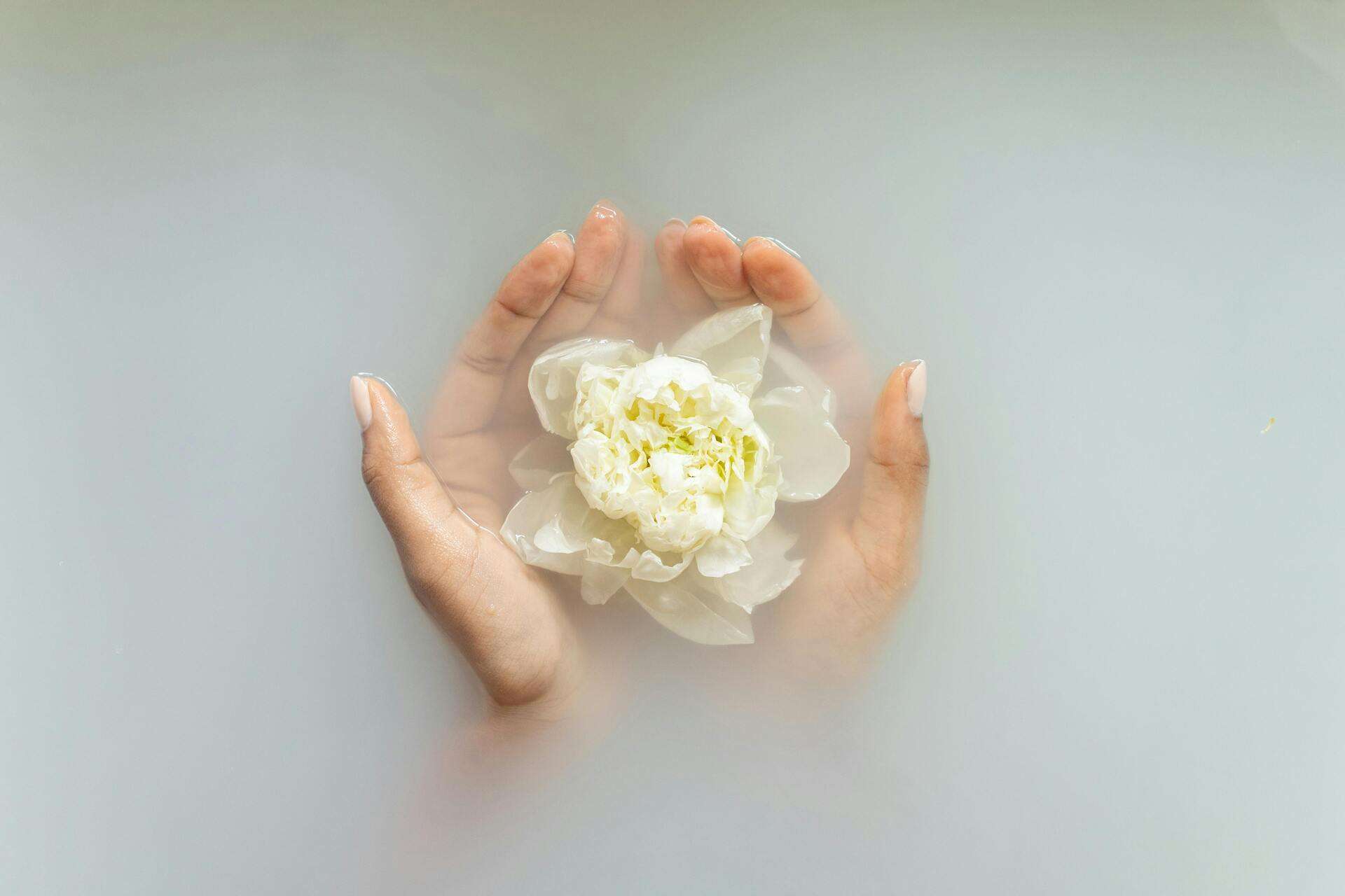 Hands cupping a white flower on the surface of the water