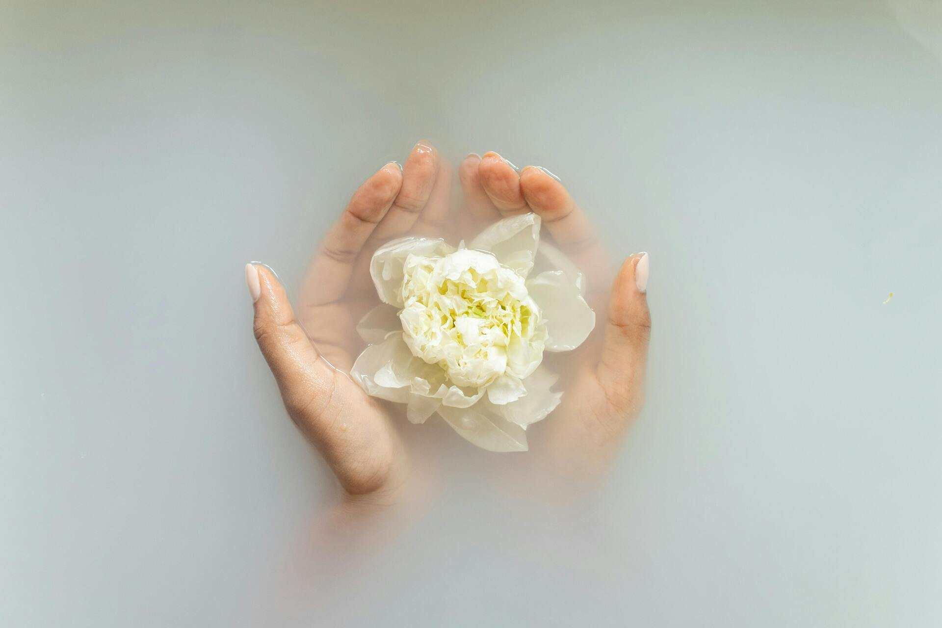 Hands cupping a white flower on the surface of water