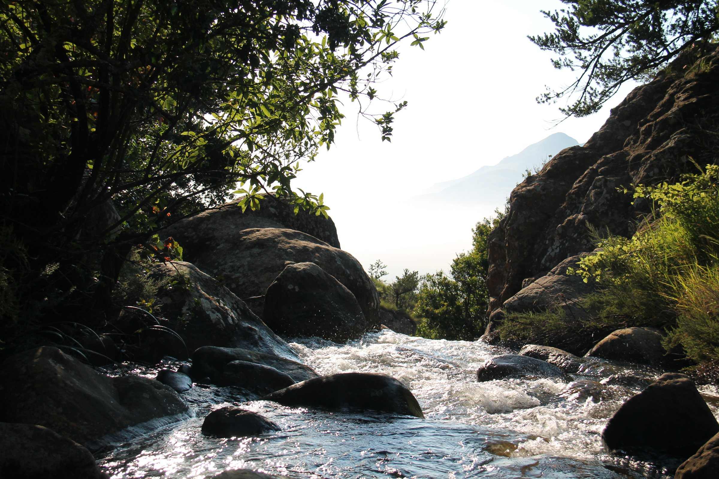 A sunlit stream running between rocks