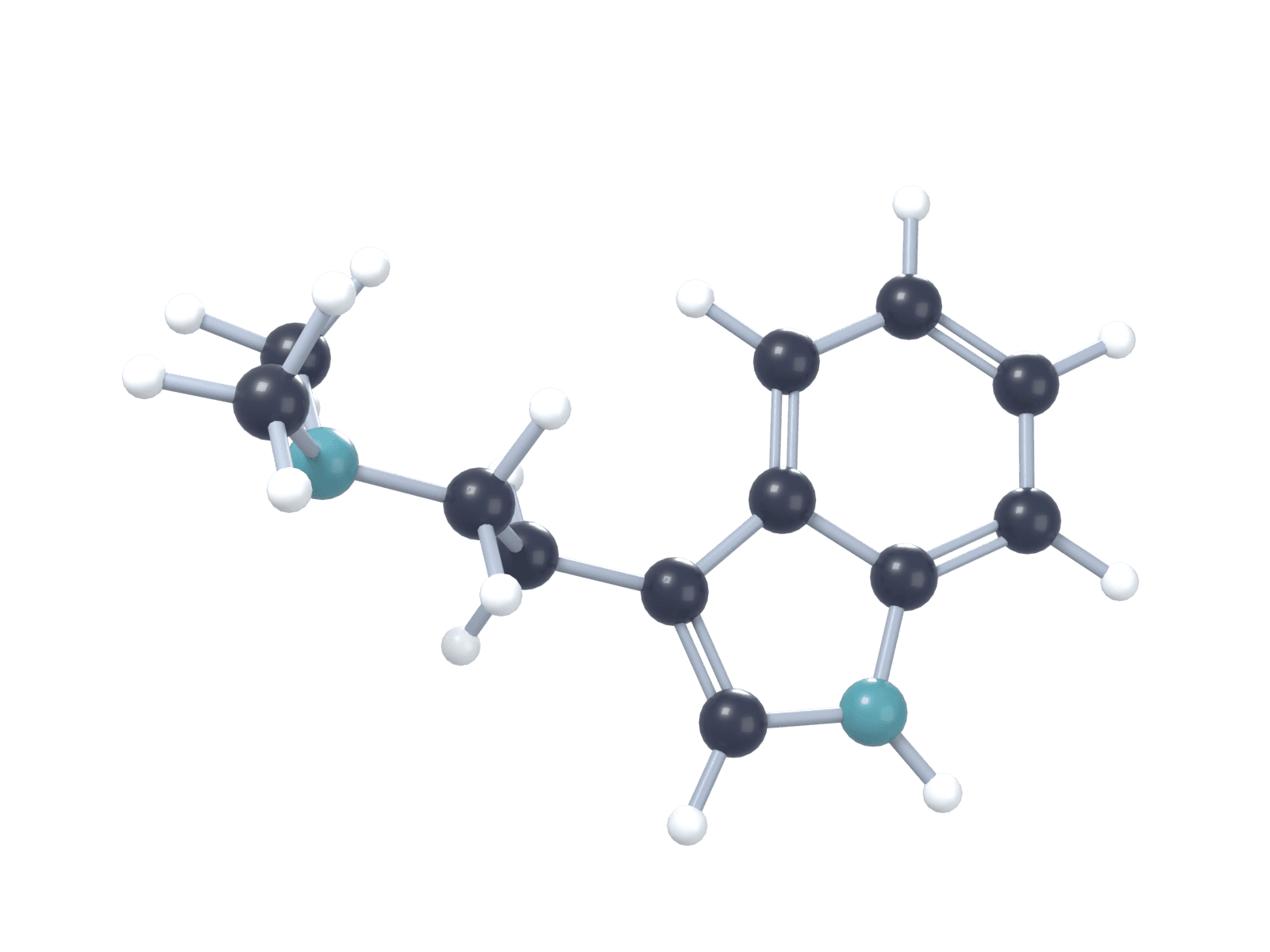 3D model of DMT