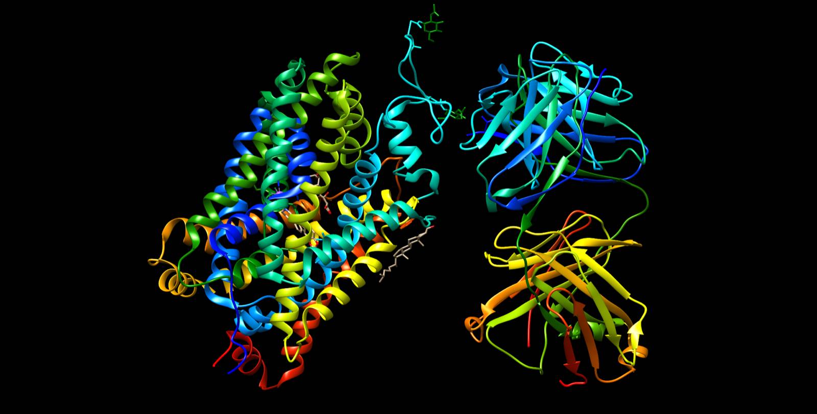 Crystal structure of the human serotonin transporter (SERT, PDB 5I6X) in coloured ribbons on the left, beside an antibody fragment used for crystallisation on the right.