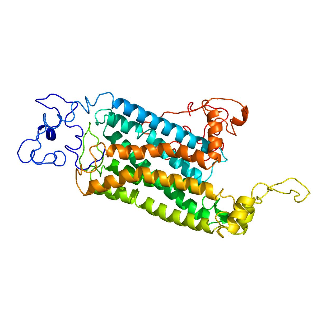 Three-dimensional model of the human serotonin 5-HT2A receptor, shown as coloured ribbons with seven membrane-spanning helices, on a white background.