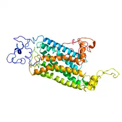 Three-dimensional model of the human serotonin 5-HT2A receptor, shown as coloured ribbons with seven membrane-spanning helices, on a white background.